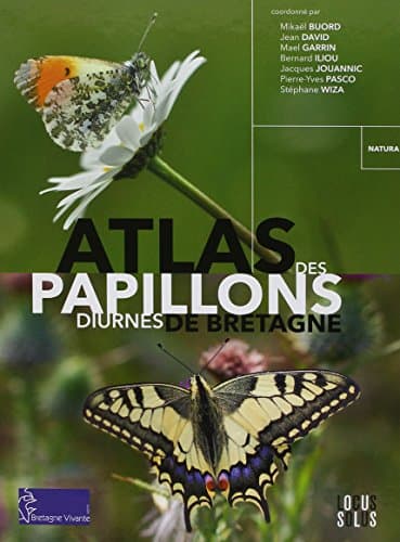 Atlas des papillons diurnes de Bretagne