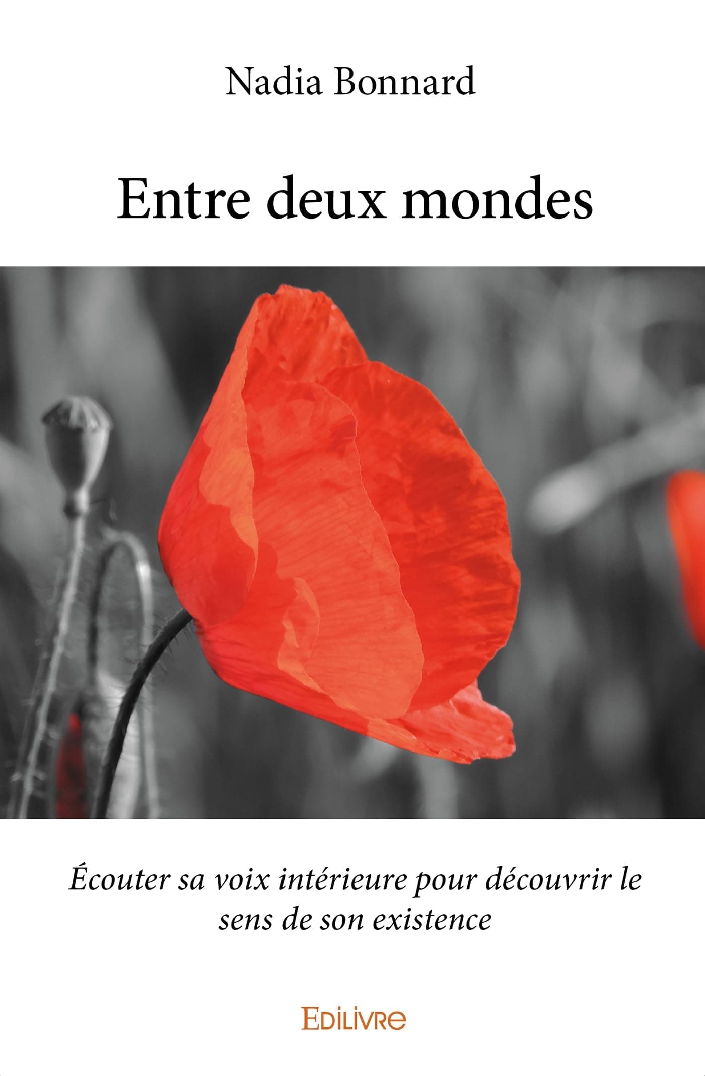 Entre deux mondes