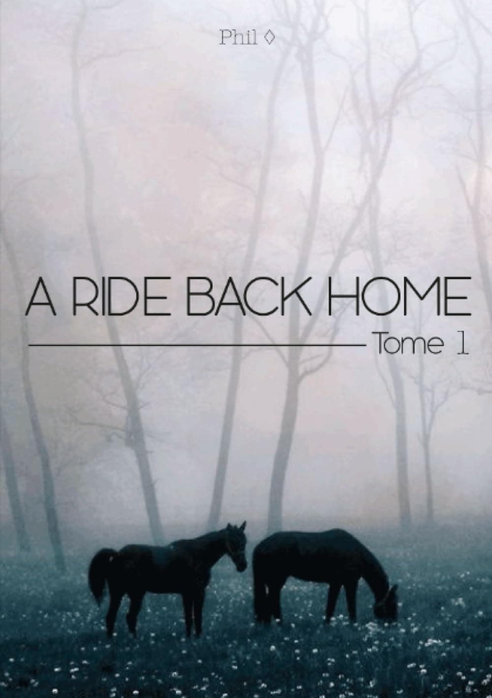 A Ride Back Home TOME 1