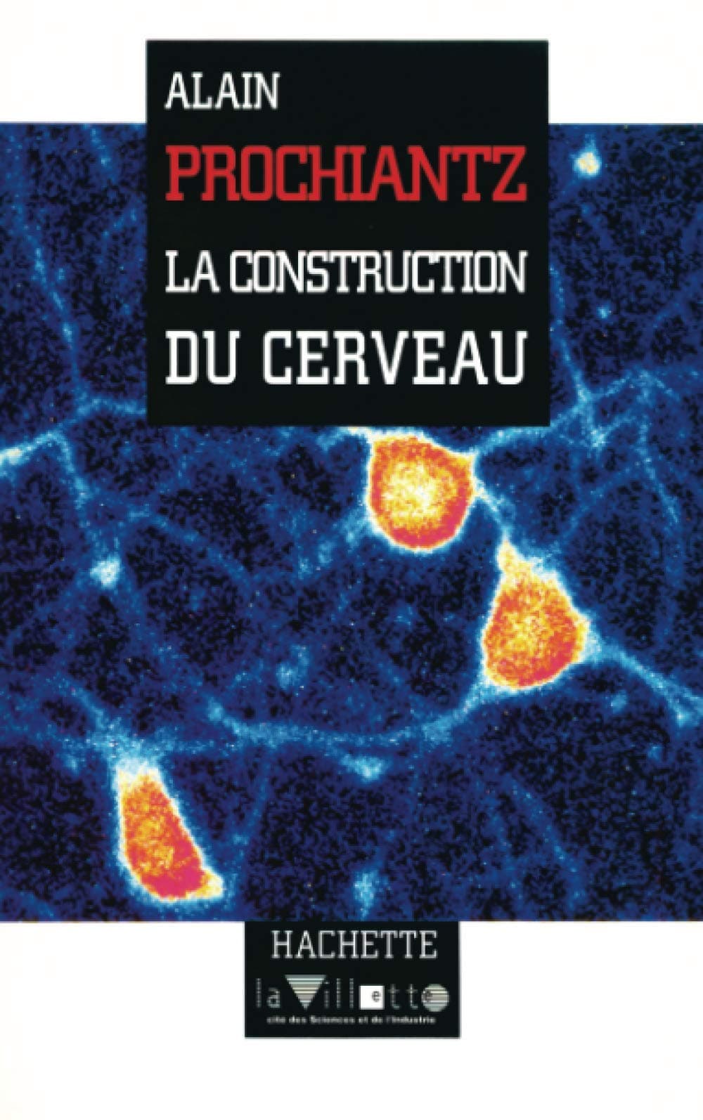 La constuction du cerveau